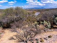 San Miguel de Allende, El Charco del Ingenio Jardín Botánico